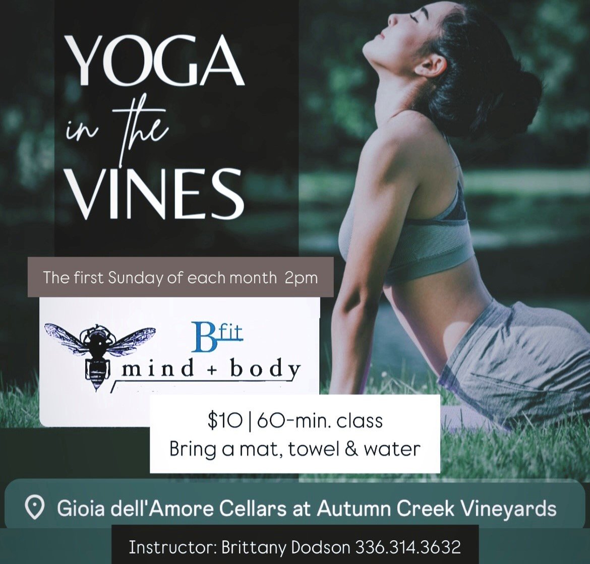 Yoga in the Vines